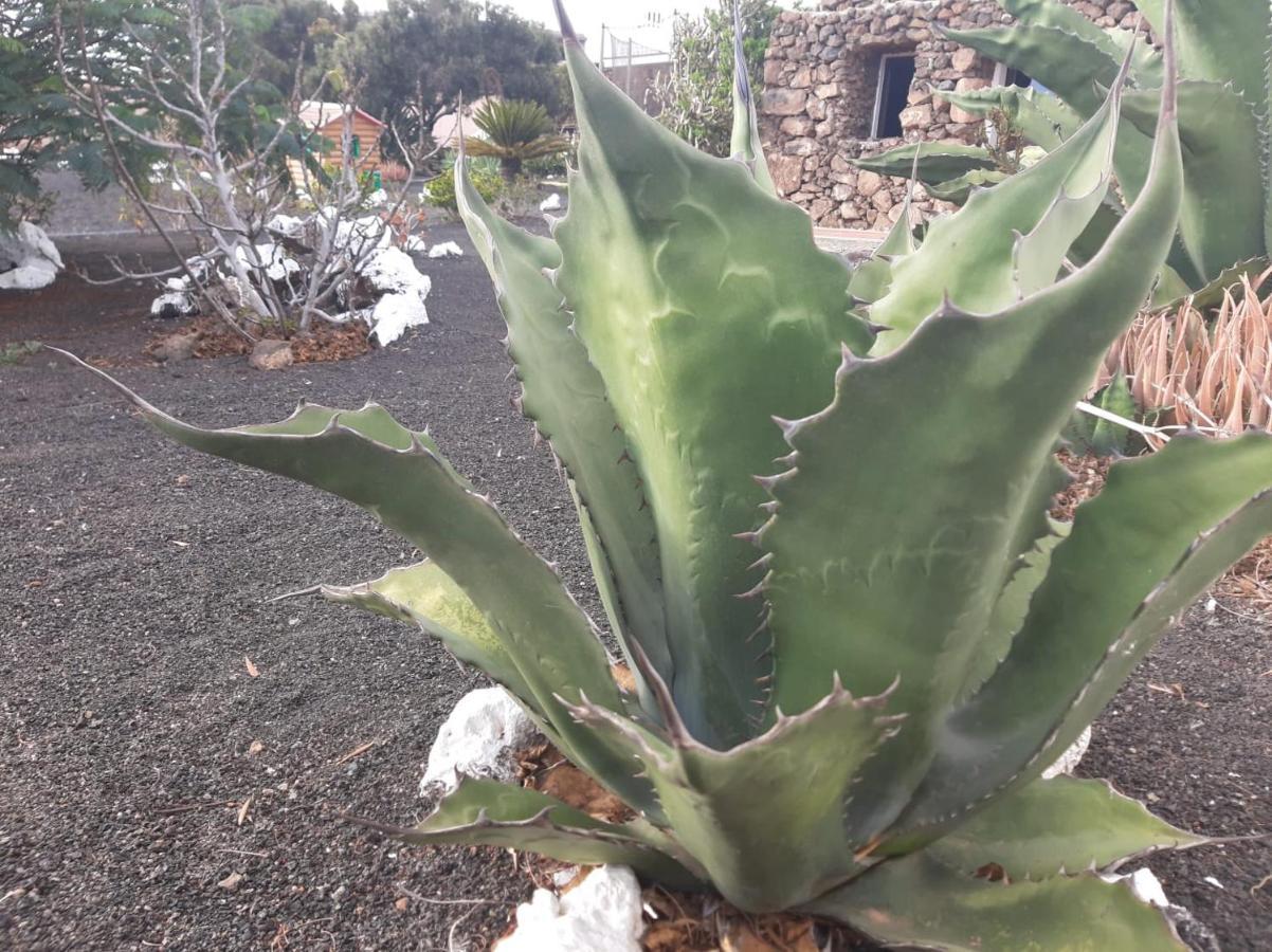 בית הארחה Tías 	Loft La Tahonilla מראה חיצוני תמונה